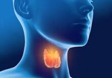 thyroid nuddle